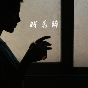 性别隐凸轮和隐凸轮的区别
